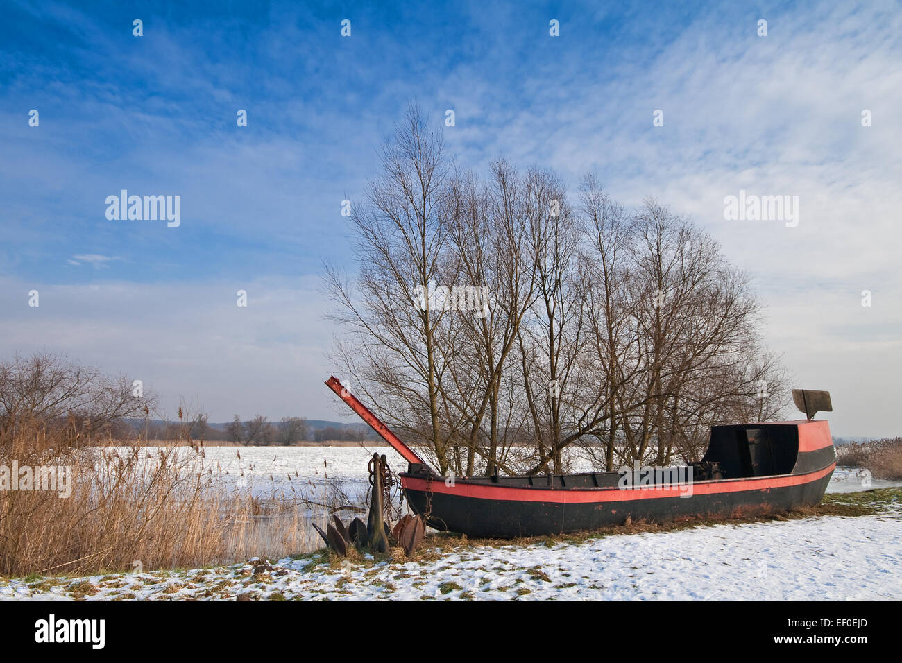 Sulle rive dell'Oder. Foto Stock