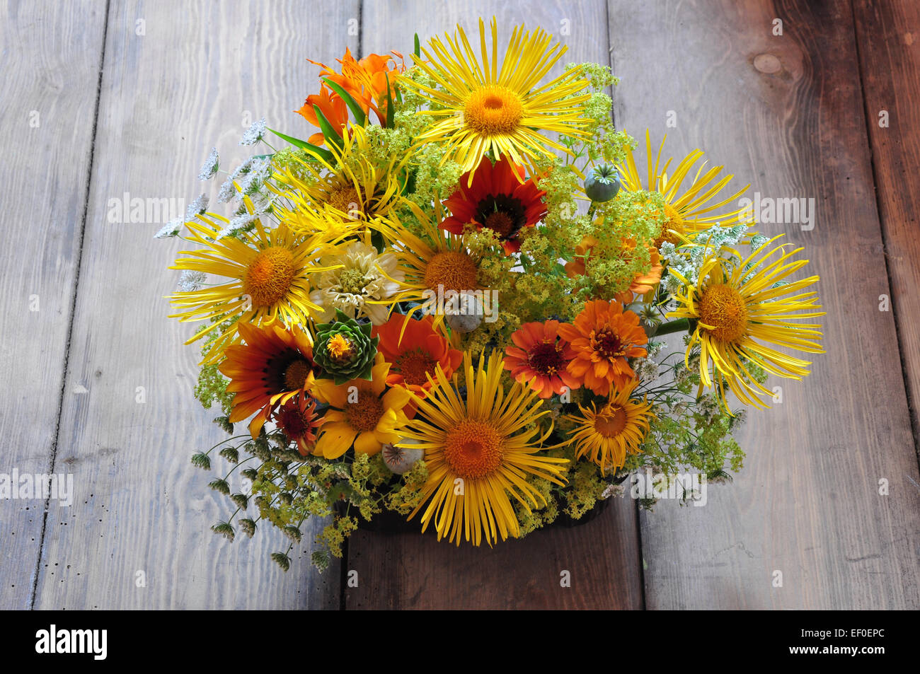 Tagliare floreale con giallo e arancio fiori d'estate REGNO UNITO Foto Stock