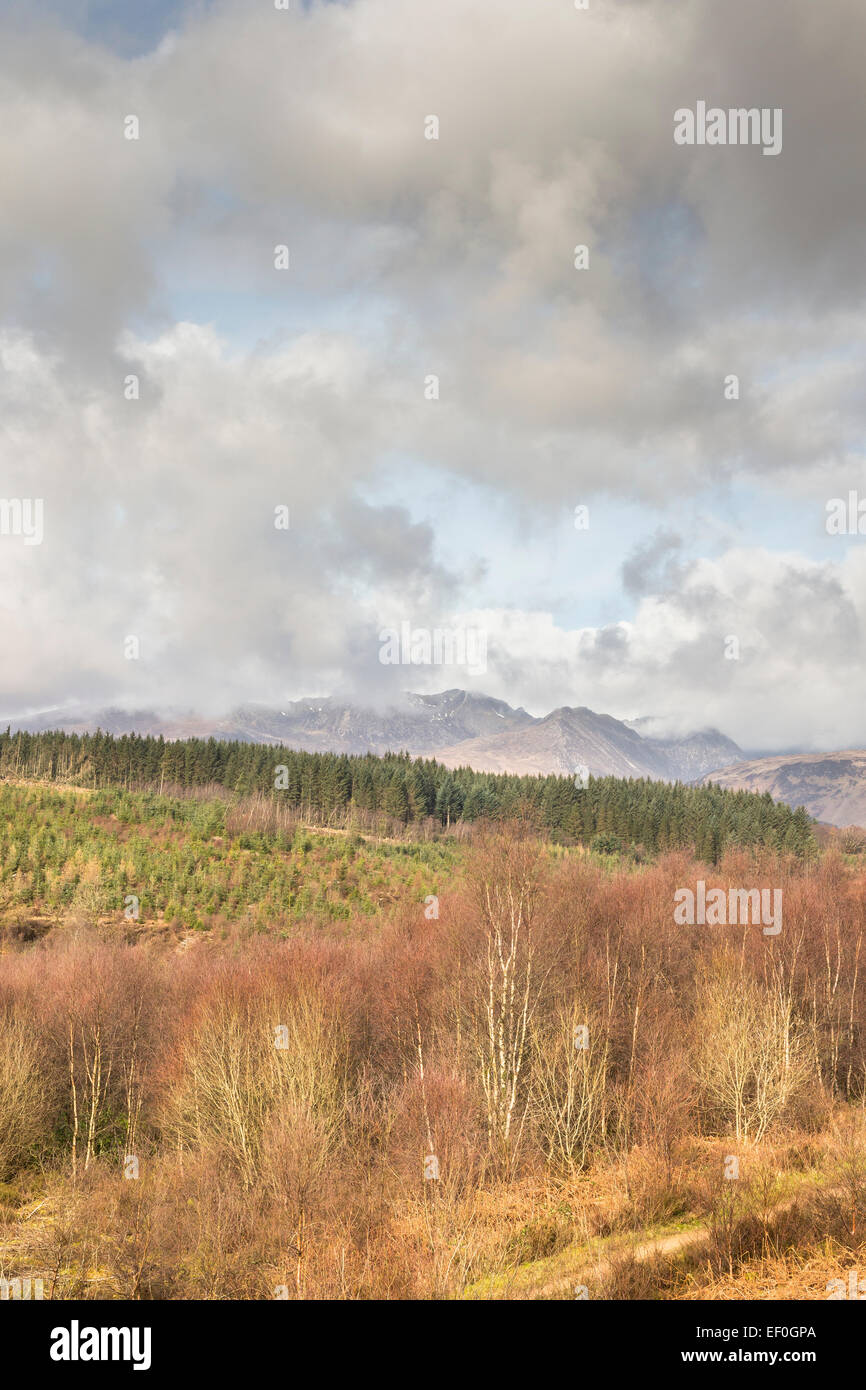 Scenario Glenrickard sull'isola di Arran in Scozia. Foto Stock