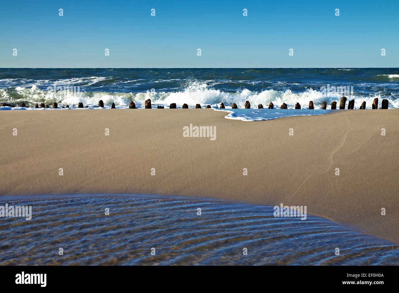 Sulla costa baltica. Foto Stock