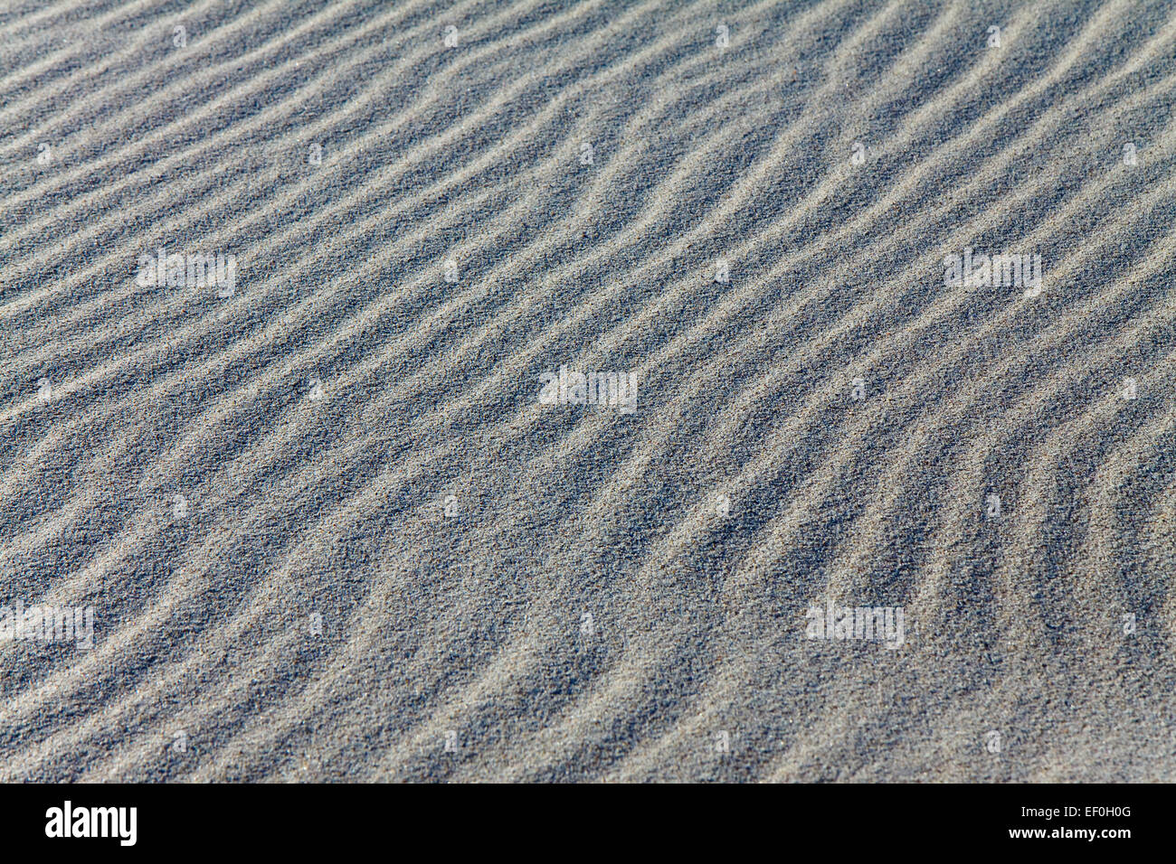 La sabbia presso il Baltic Beach. Foto Stock
