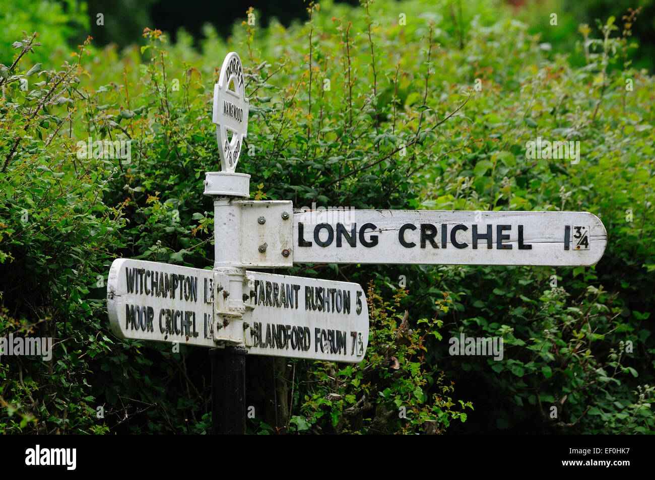 Un tradizionale fingerpost nel Dorset Regno Unito Foto Stock