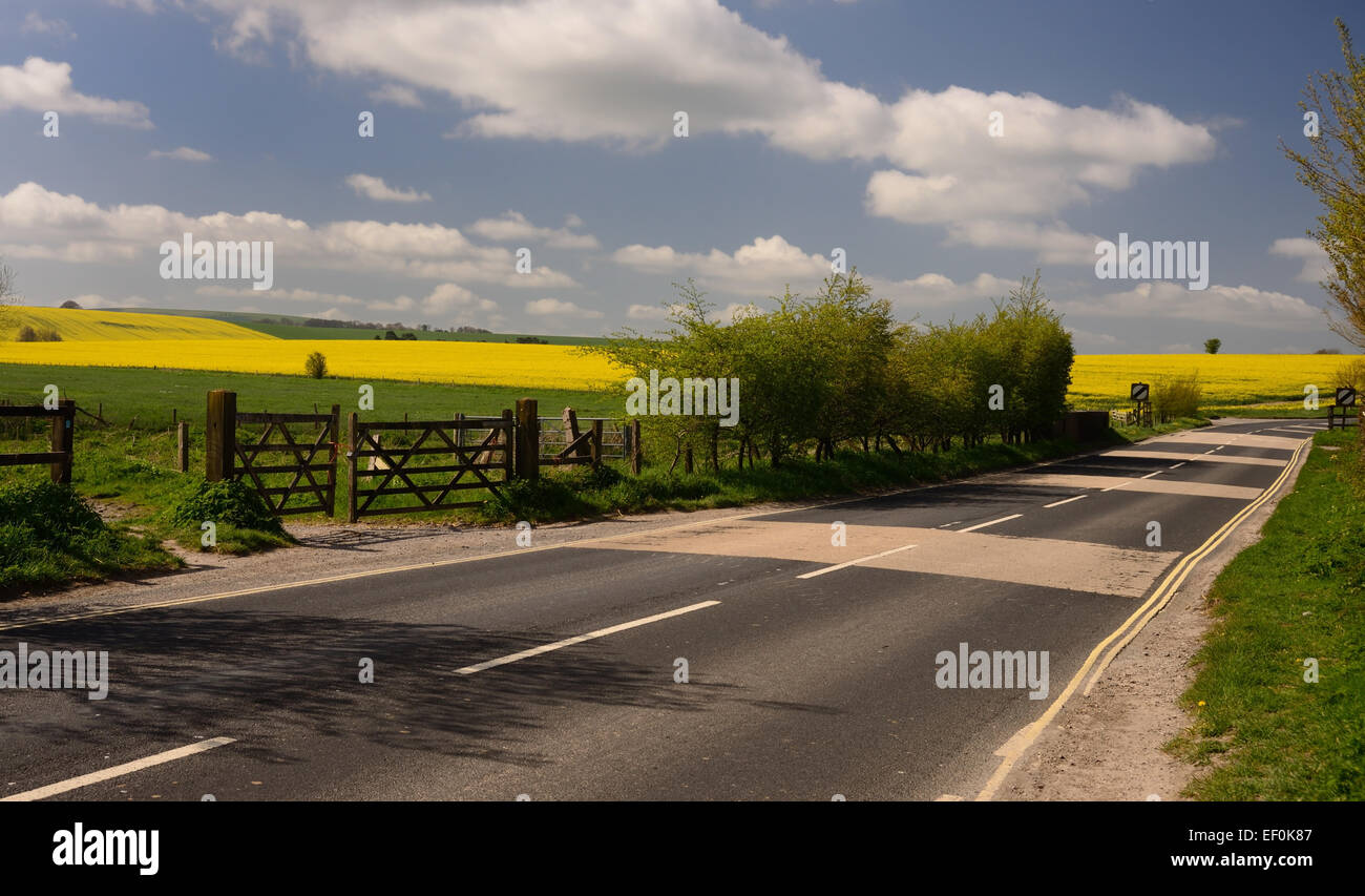 Il gateway e il sentiero attraversa su una strada vuota. Foto Stock