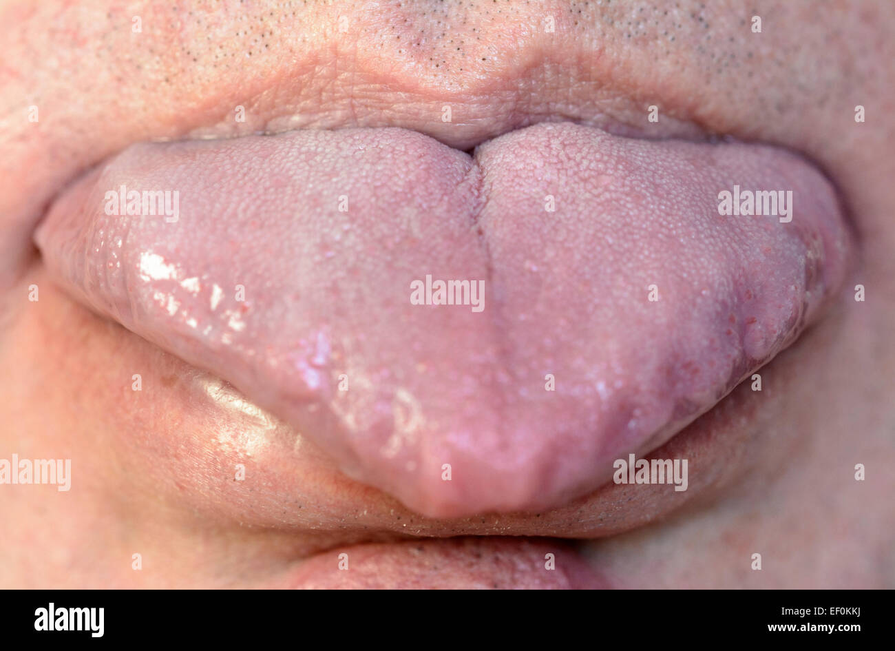 Linguetta sporgente. Vista frontale di un maschio caucasico con la sua lingua. Foto Stock