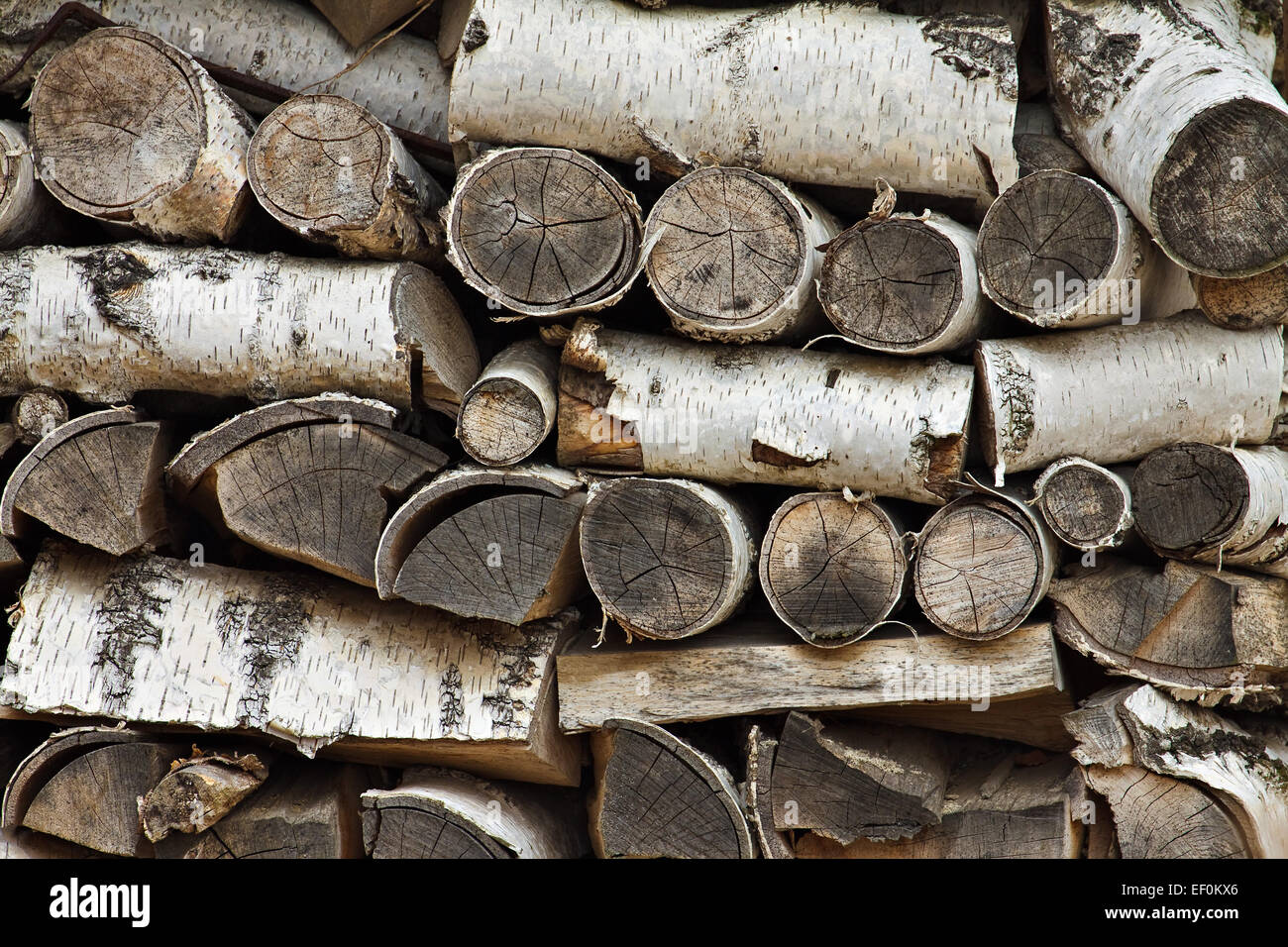 Una pila di legno di betulla. Foto Stock