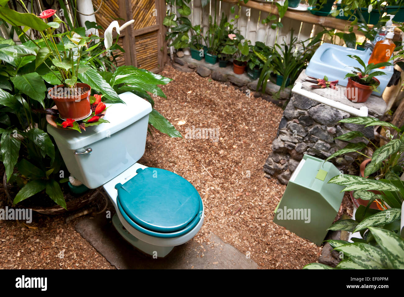 Wc ecologico al Valhalla noce Macadamia Farm Foto Stock