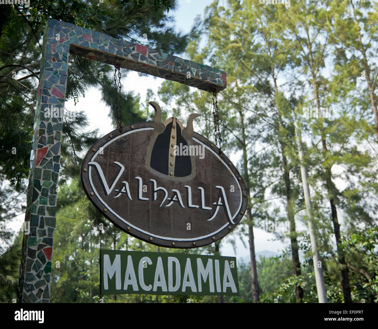 Ingresso al Valhalla noce Macadamia Farm Foto Stock