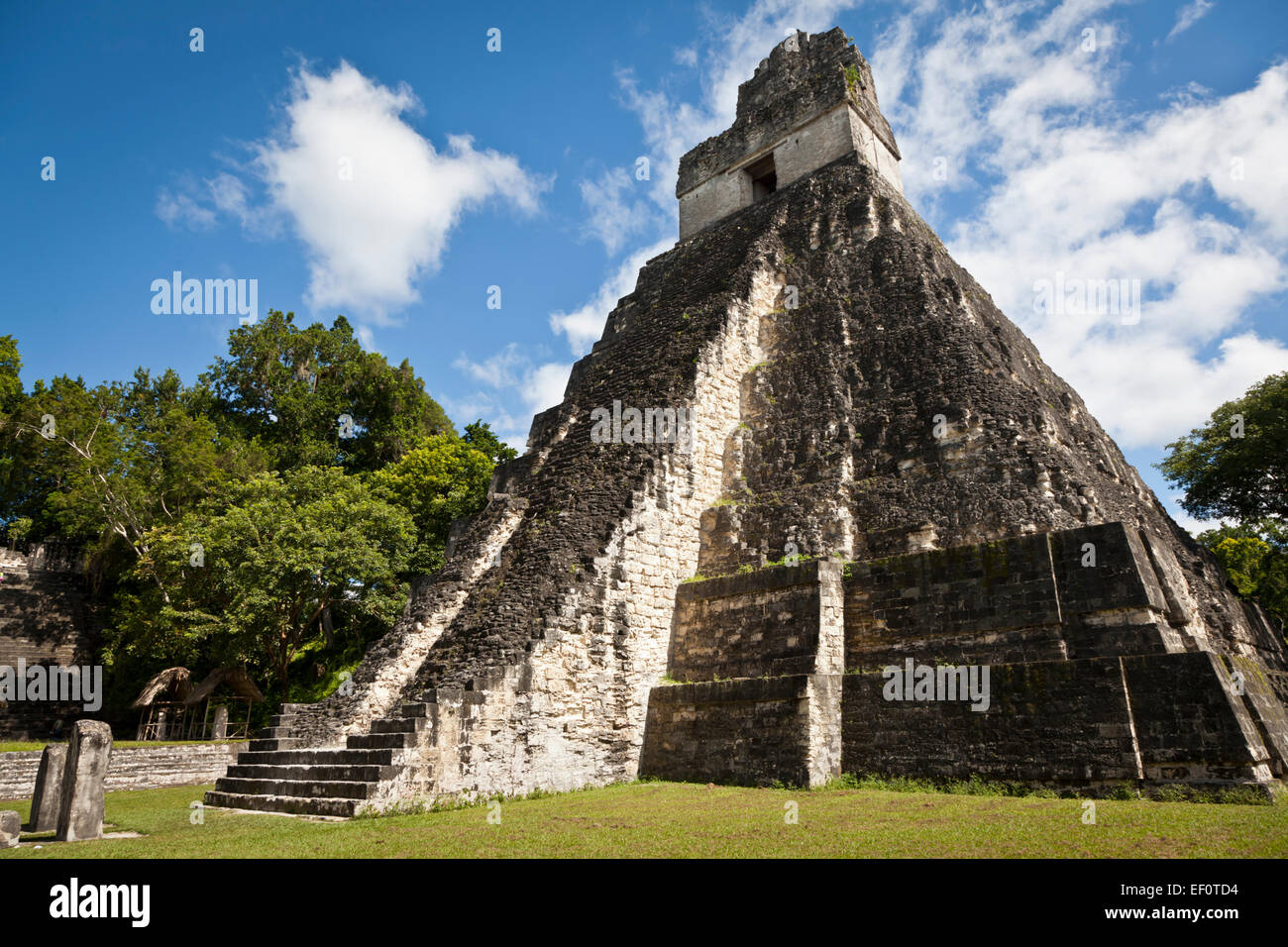 Tempio che io a Tikal in Guatemala Foto Stock