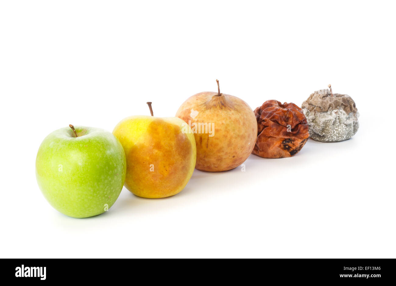 Cinque mele in una fila in vari stati di decadimento contro uno sfondo bianco Foto Stock