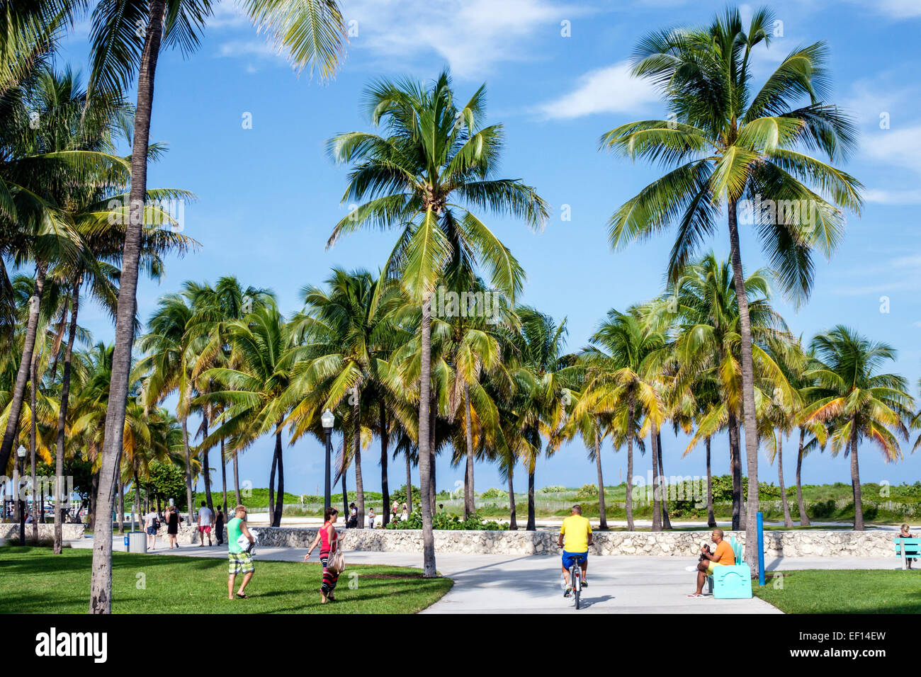Miami Beach Florida, Lummus Park, Serpentine Trail, palme, visitatori viaggio viaggio turismo turistico punto di riferimento cultura culturale, vacatio Foto Stock