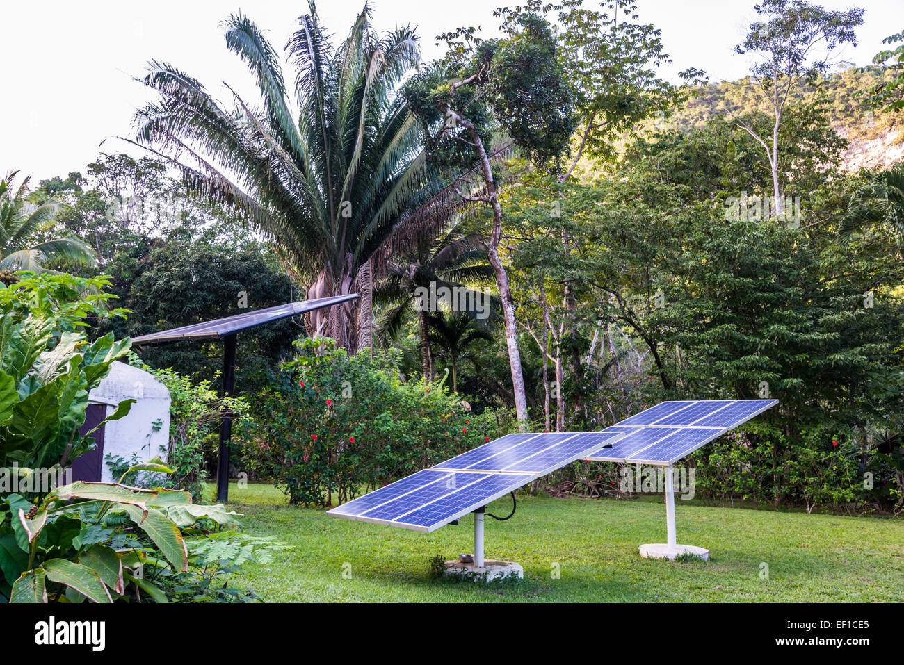 I pannelli solari che generano elettricità in un cortile. Belize, America centrale. Foto Stock