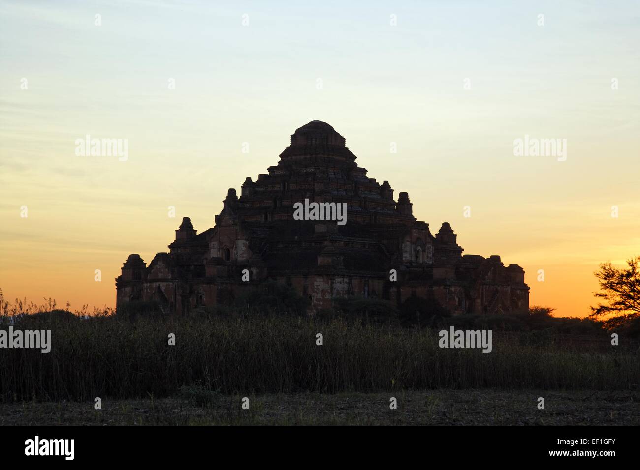 Dhammayangyi Pahto al tramonto Foto Stock