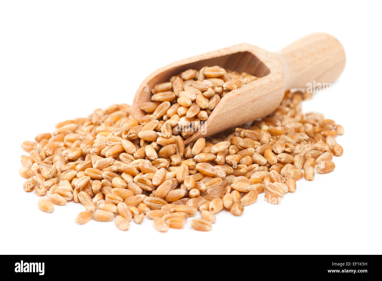 Chicchi di grano nel convogliatore in legno Foto Stock