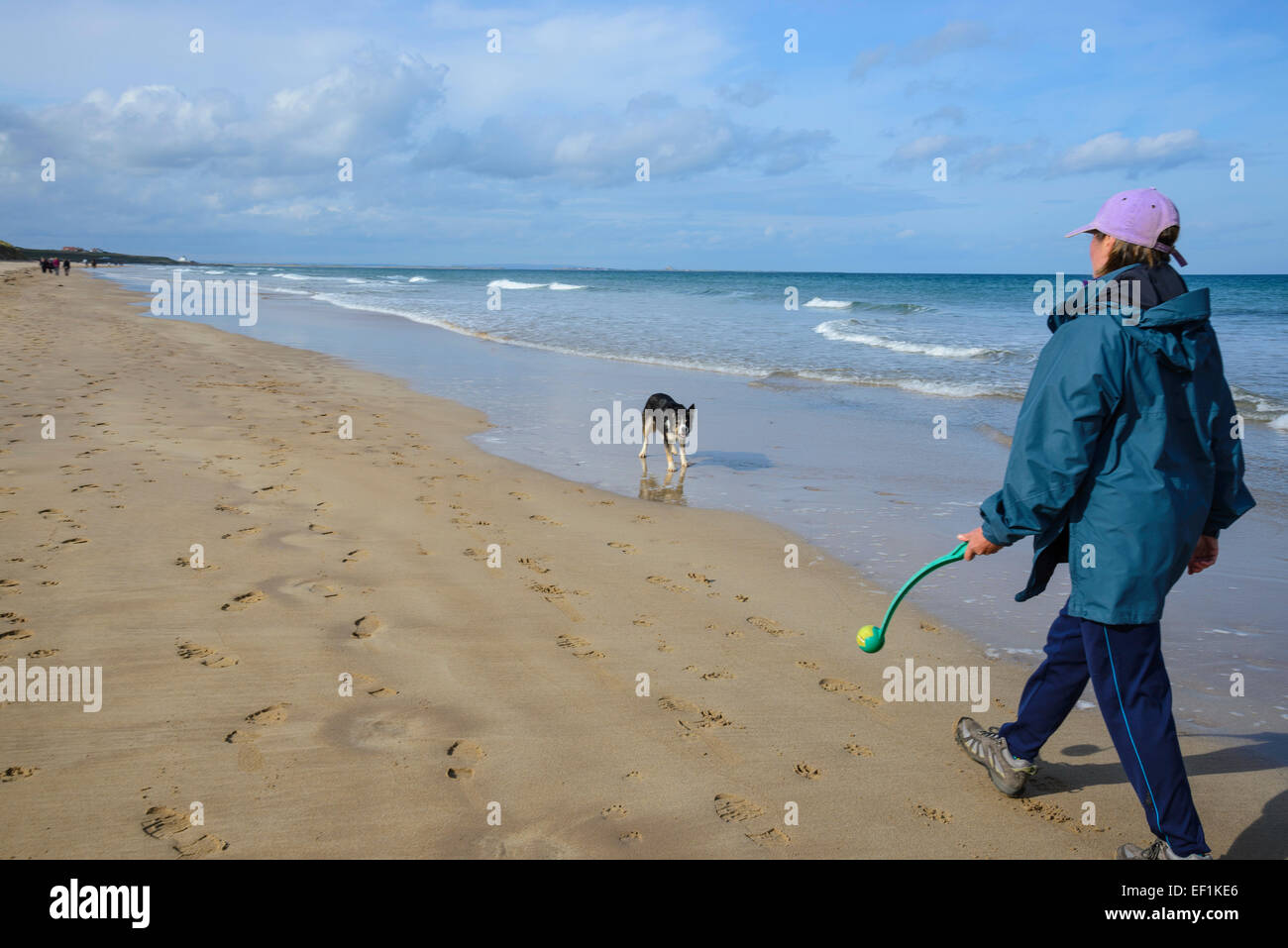 Donna e Border Collie cane giocare a palla sulla spiaggia Bamburgh, Northumberland, Inghilterra Foto Stock