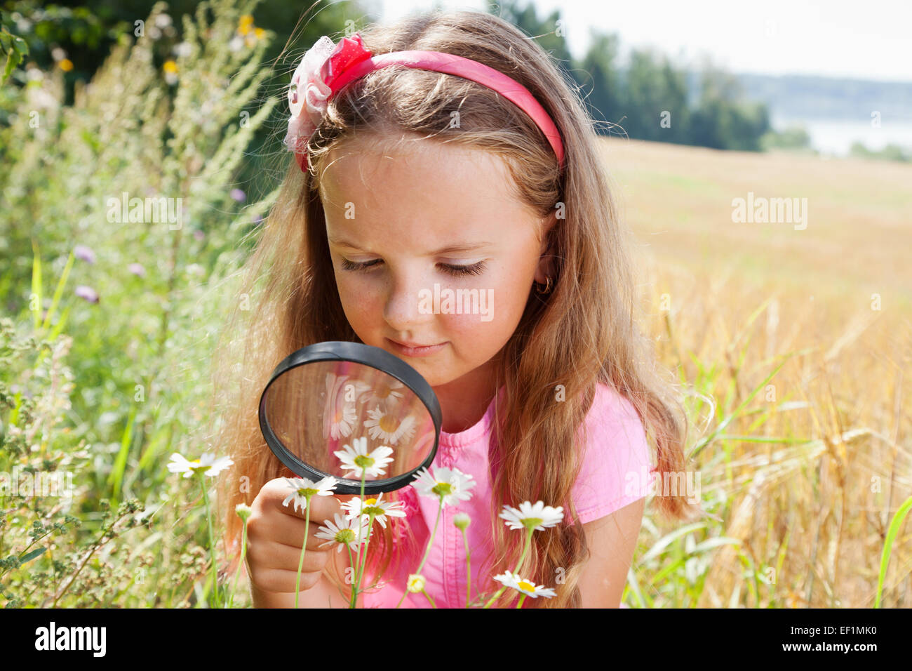 Bambina esplorando il daisy fiore attraverso la lente di ingrandimento all'aperto Foto Stock