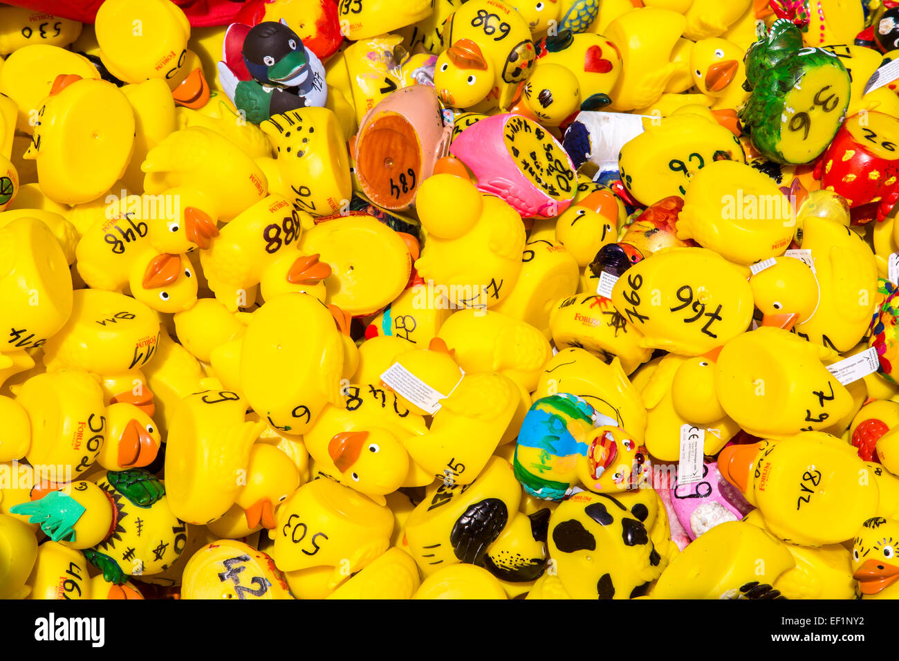 Rubber Duck gara divertente sul fiume Ruhr, dallo stile individuale le papere di gomma da bambini, Foto Stock