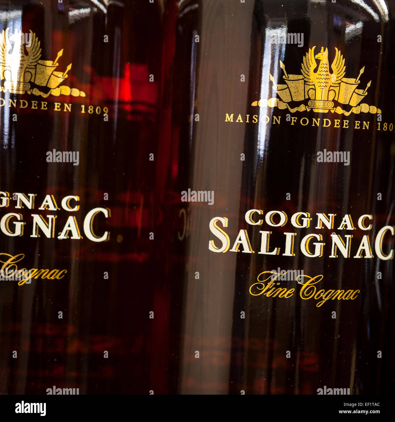 Salignac Foto Stock