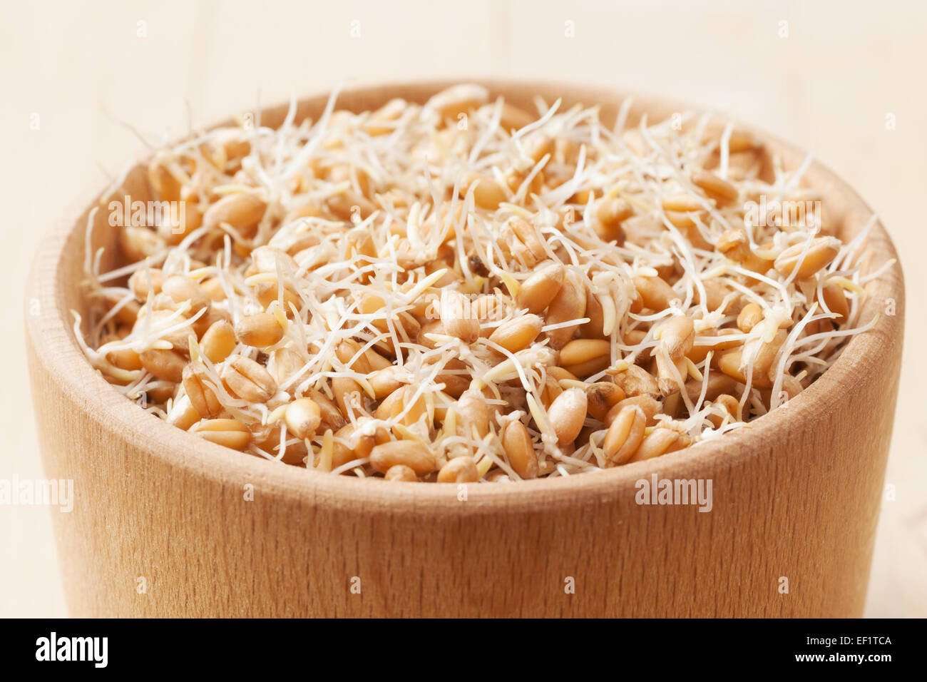 I germogli di grano in ciotola di legno Foto Stock