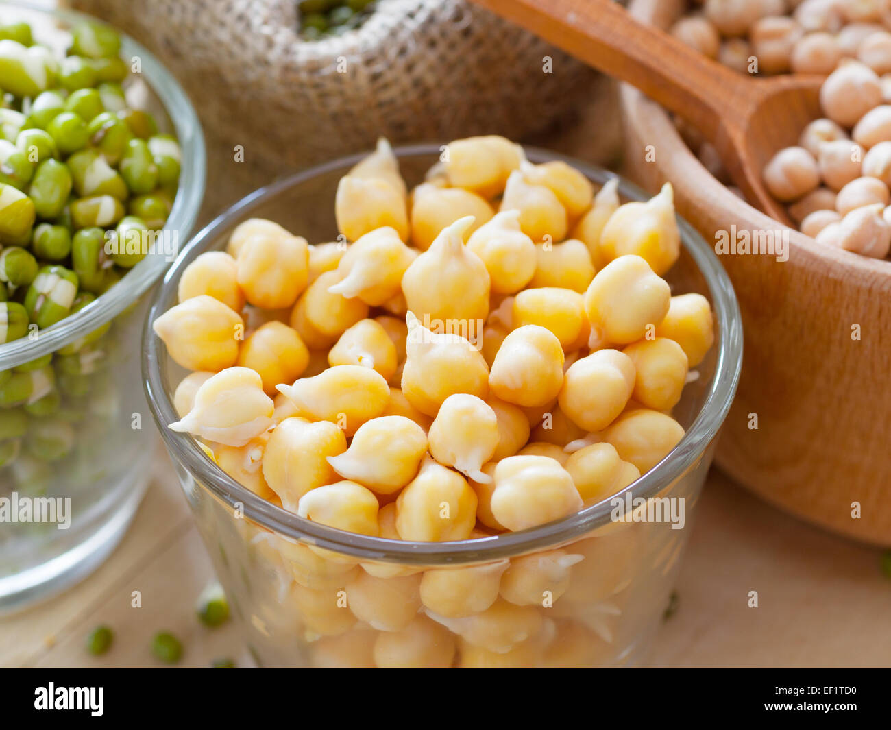 Ceci e verde Mung bean i germogli in vaso Foto Stock