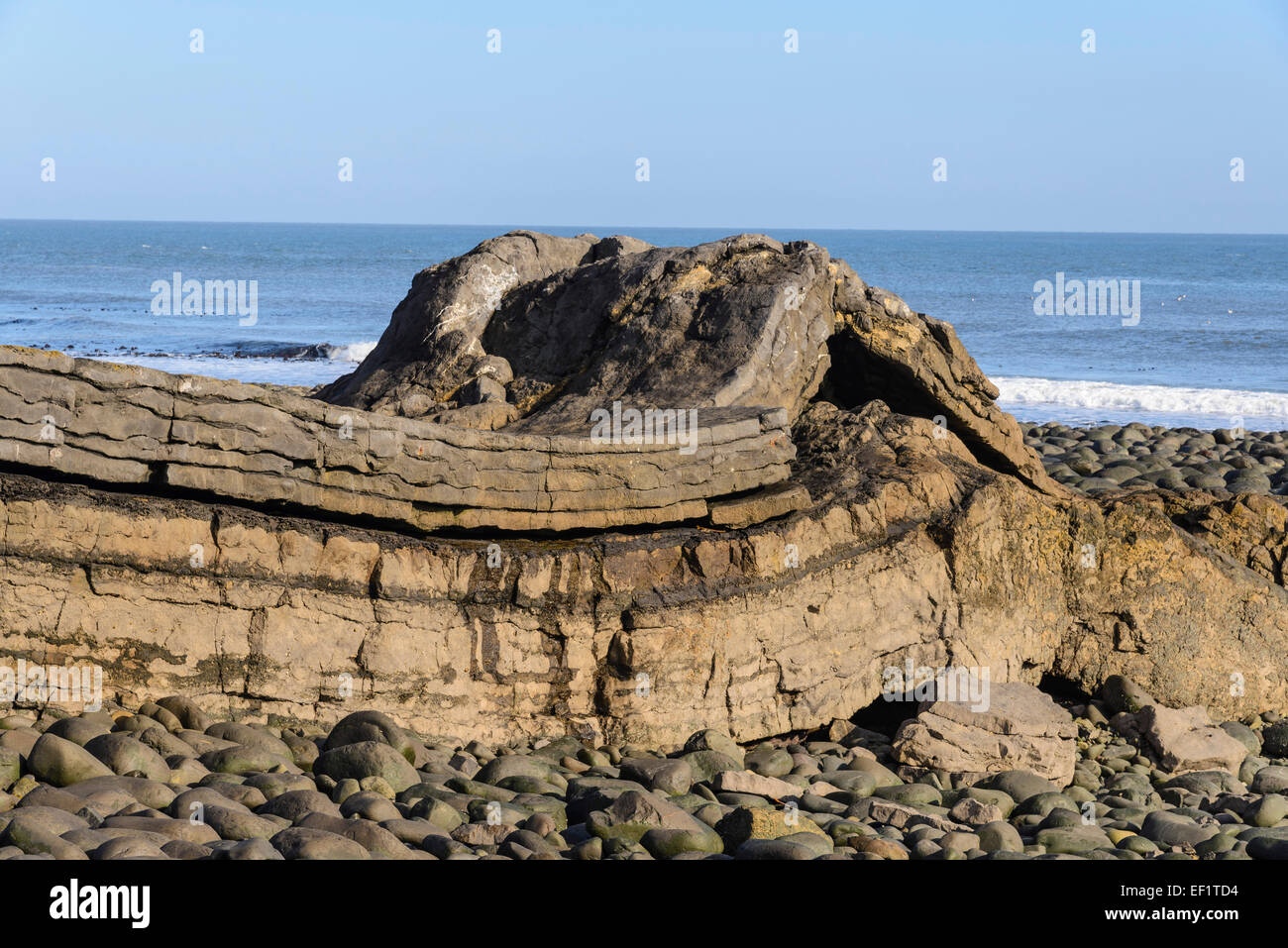 Geological formazione di roccia, Embleton Bay, Northumberland, Inghilterra Foto Stock