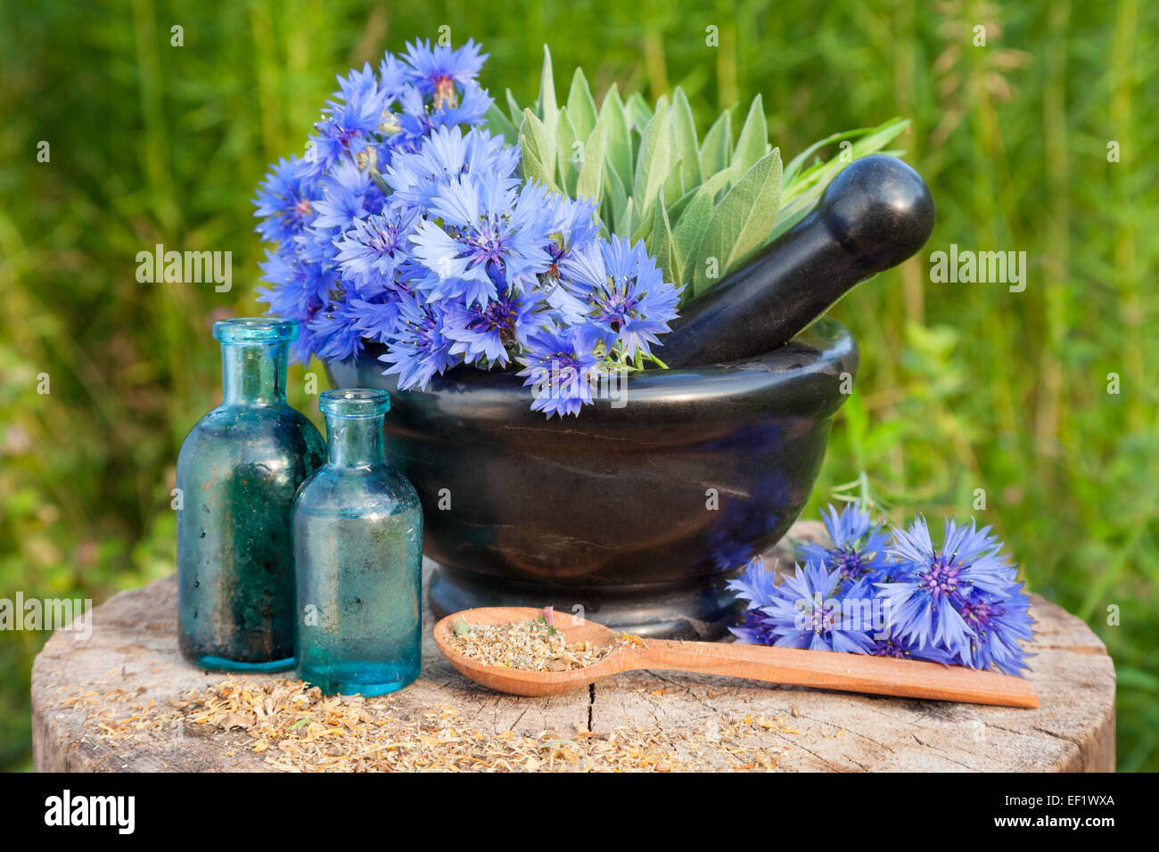 Mortaio con cornflowers blu e salvia, fiale con olio essenziale. Erba di issopo in background, medicine a base di erbe Foto Stock