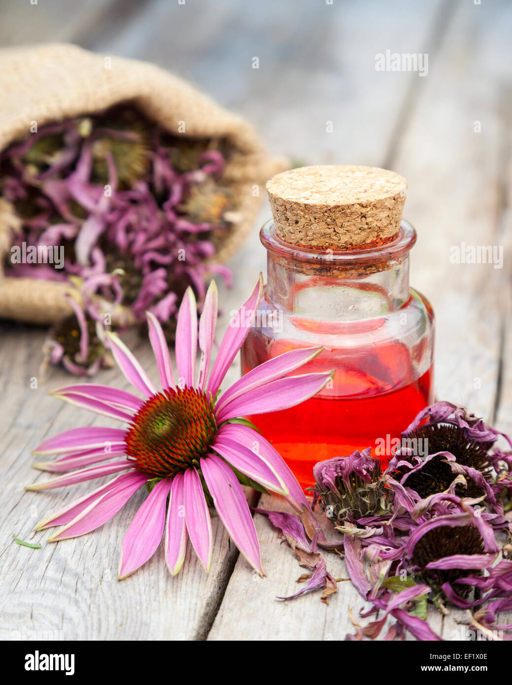 Olio essenziale in una bottiglia di vetro e coneflower su legno tavolo rustico, medicine a base di erbe Foto Stock