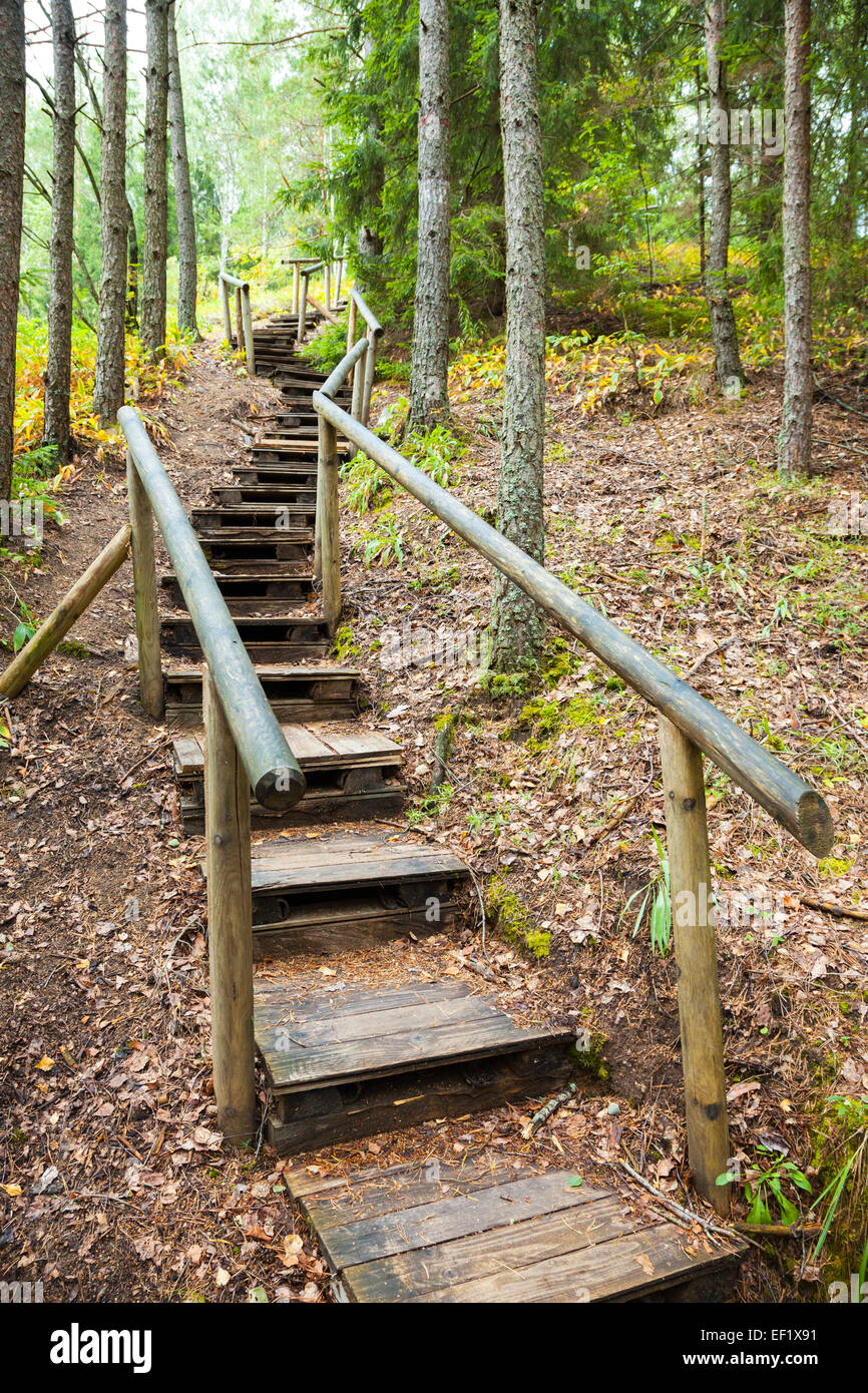 Vecchia scala di legno a montagne foresta, sentiero natura in riserva Foto Stock