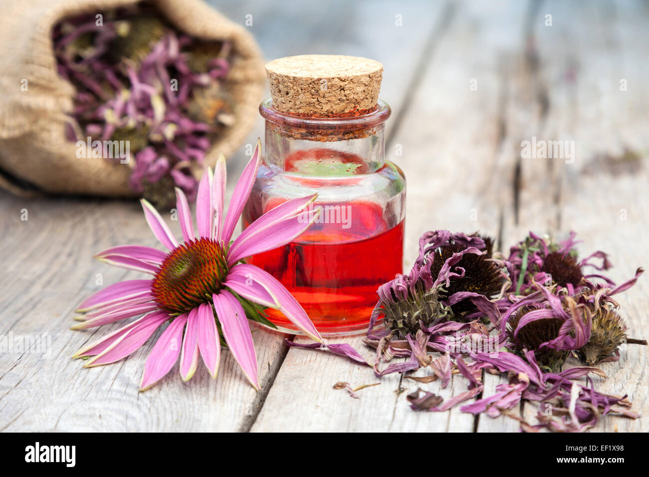 Olio essenziale in una bottiglia di vetro e coneflower su legno tavolo rustico, il sacchetto con le erbe, medicine a base di erbe Foto Stock