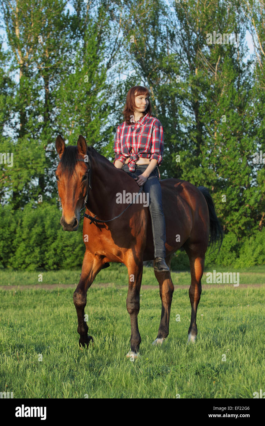 Bella donna bionda di equitazione bareback in sera, campo Foto Stock