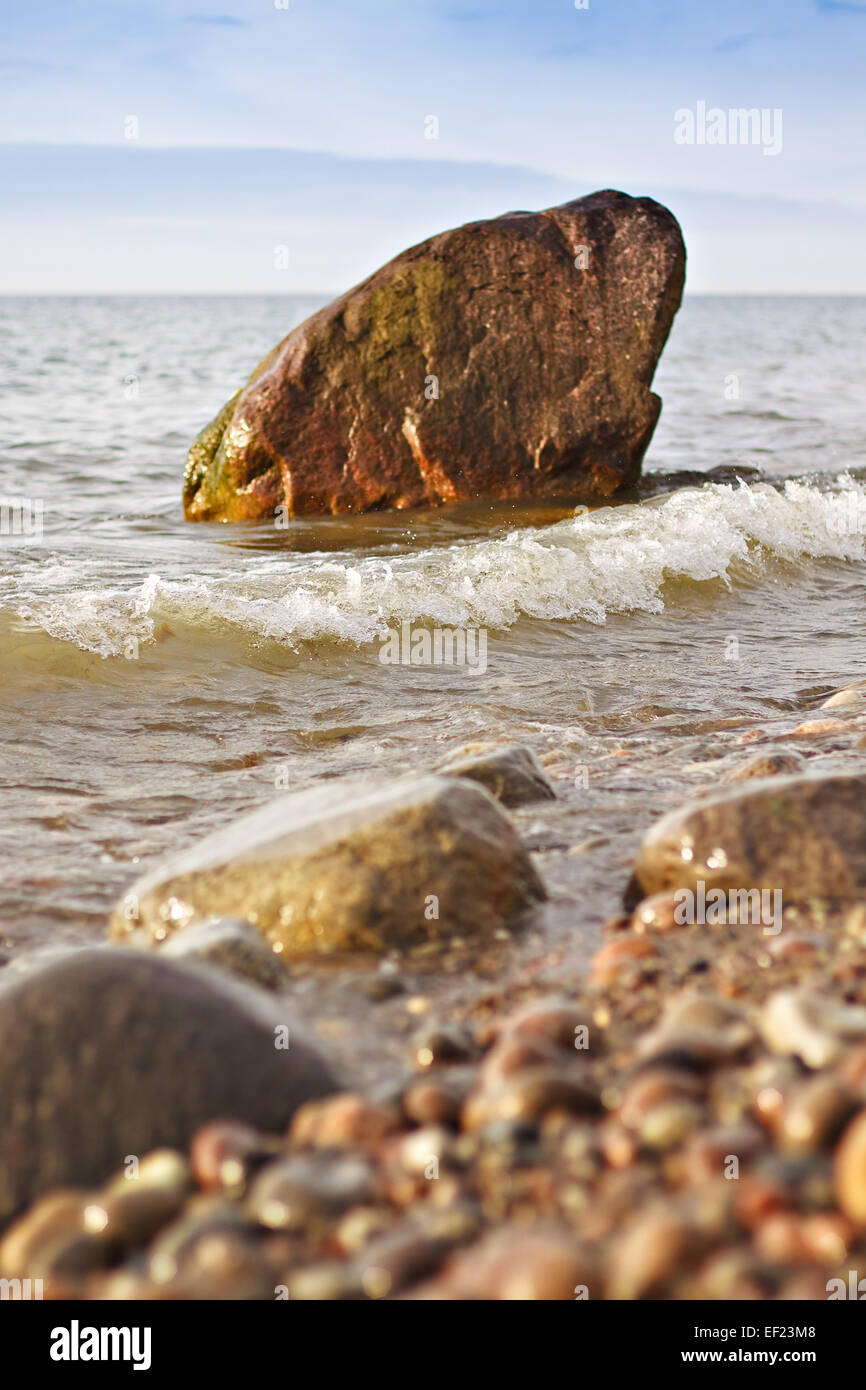 Sulla riva del Mar Baltico. Foto Stock
