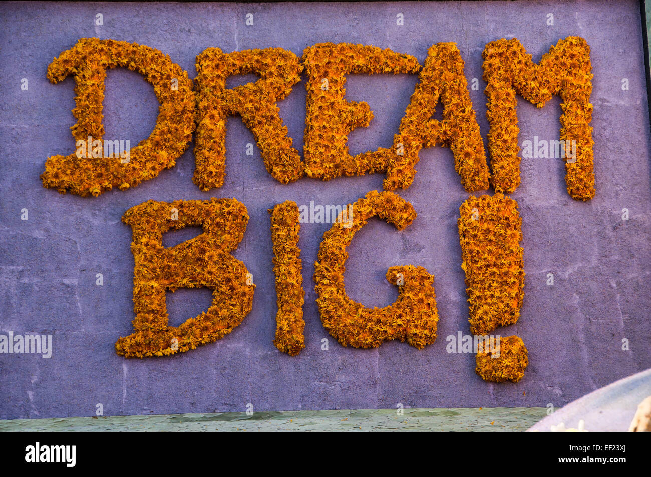 Segno di 'Dream Big'. Fatta di fiori. Foto Stock