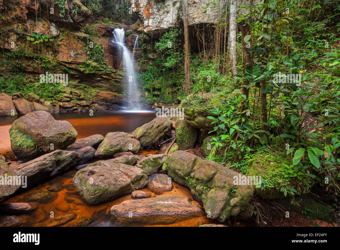 Cascata nella foresta pluviale, Venezuela. Foto Stock