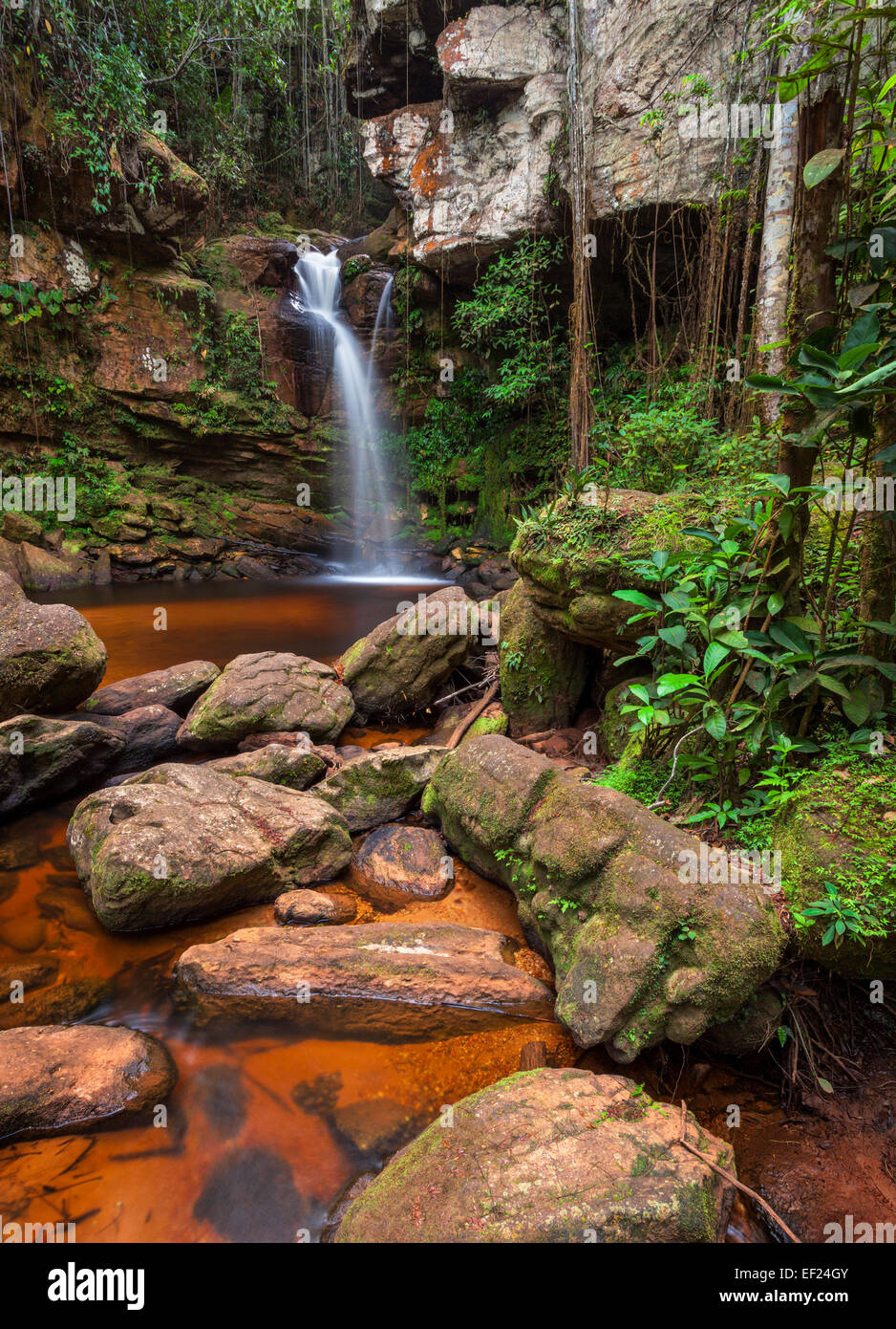 Cascata nella foresta pluviale, Venezuela. Foto Stock