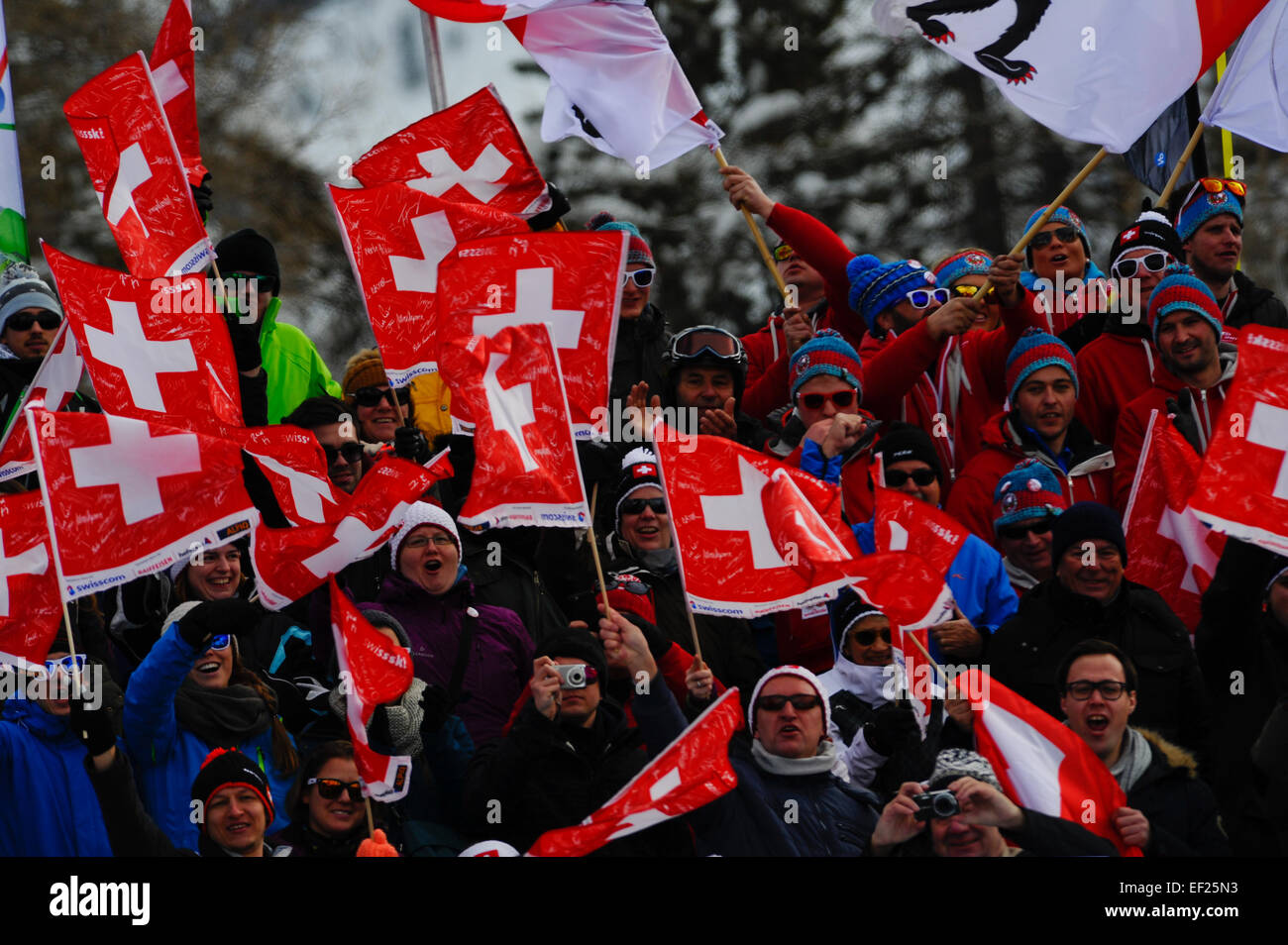 San 25 gennaio, 2015. Moritz in Svizzera. Sostenitori Switzeland durante l'Audi FIS Coppa del Mondo di sci femminile super g di San Moritz © Azione Sport Plus/Alamy Live News Foto Stock