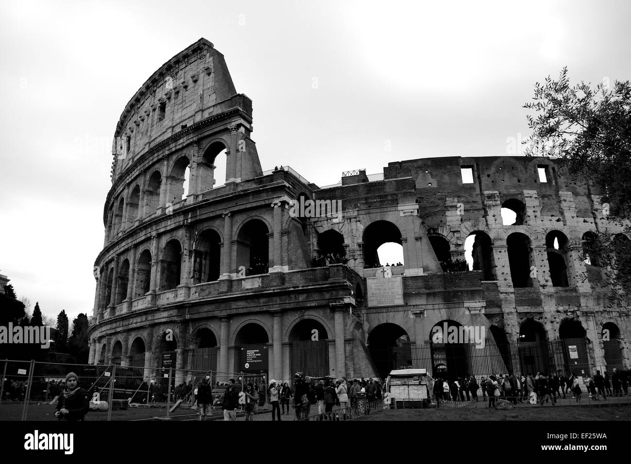 Immagine in bianco e nero del Colosseo, Roma, Italia Foto Stock