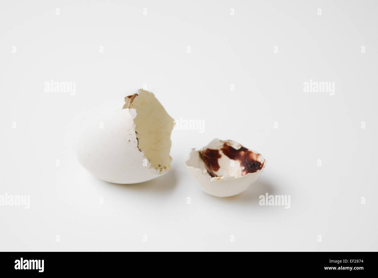 rompere le uova dell'uccello Foto Stock