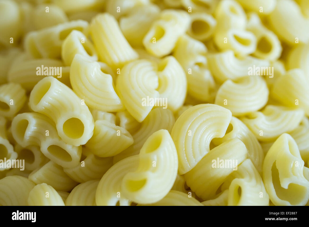 macaroni bollito Foto Stock