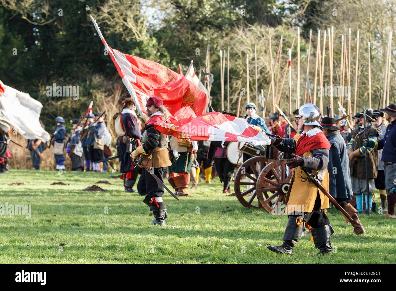 Nantwich, Cheshire, Regno Unito. 25 gennaio, 2015. L'Agrifoglio annuale Giorno Santo rievocazione della battaglia di Nantwich, 2015 Credit: Simon Newbury/Alamy Live News Foto Stock