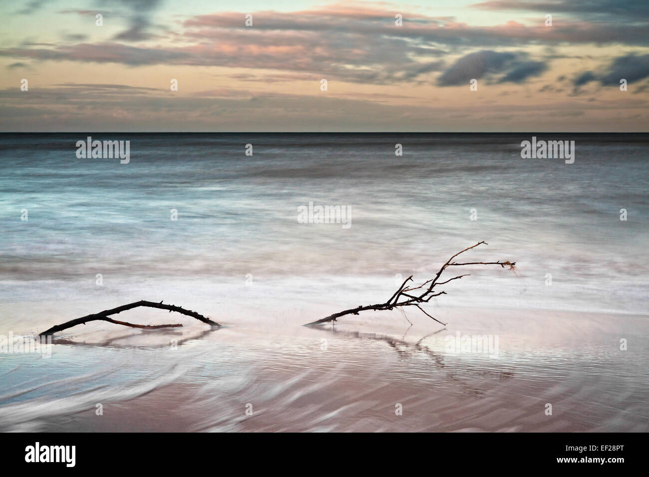 Sulla riva del Mar Baltico Foto Stock