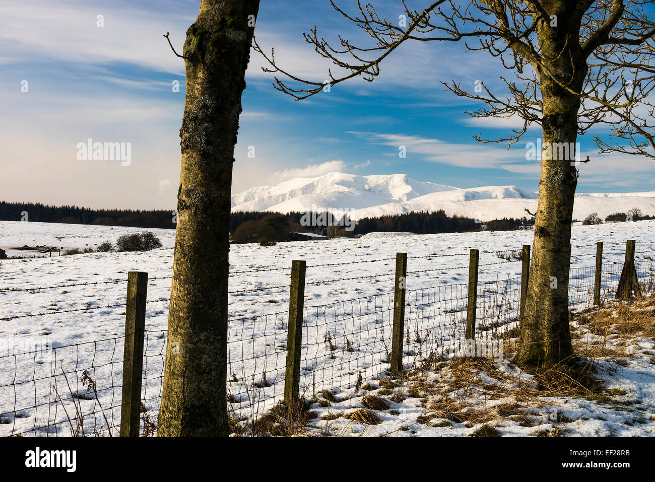 La coperta di neve a doppio spiovente di montagna o Blencathra nel Parco nazionale del Lake District Cumbria Inghilterra England Regno Unito Foto Stock