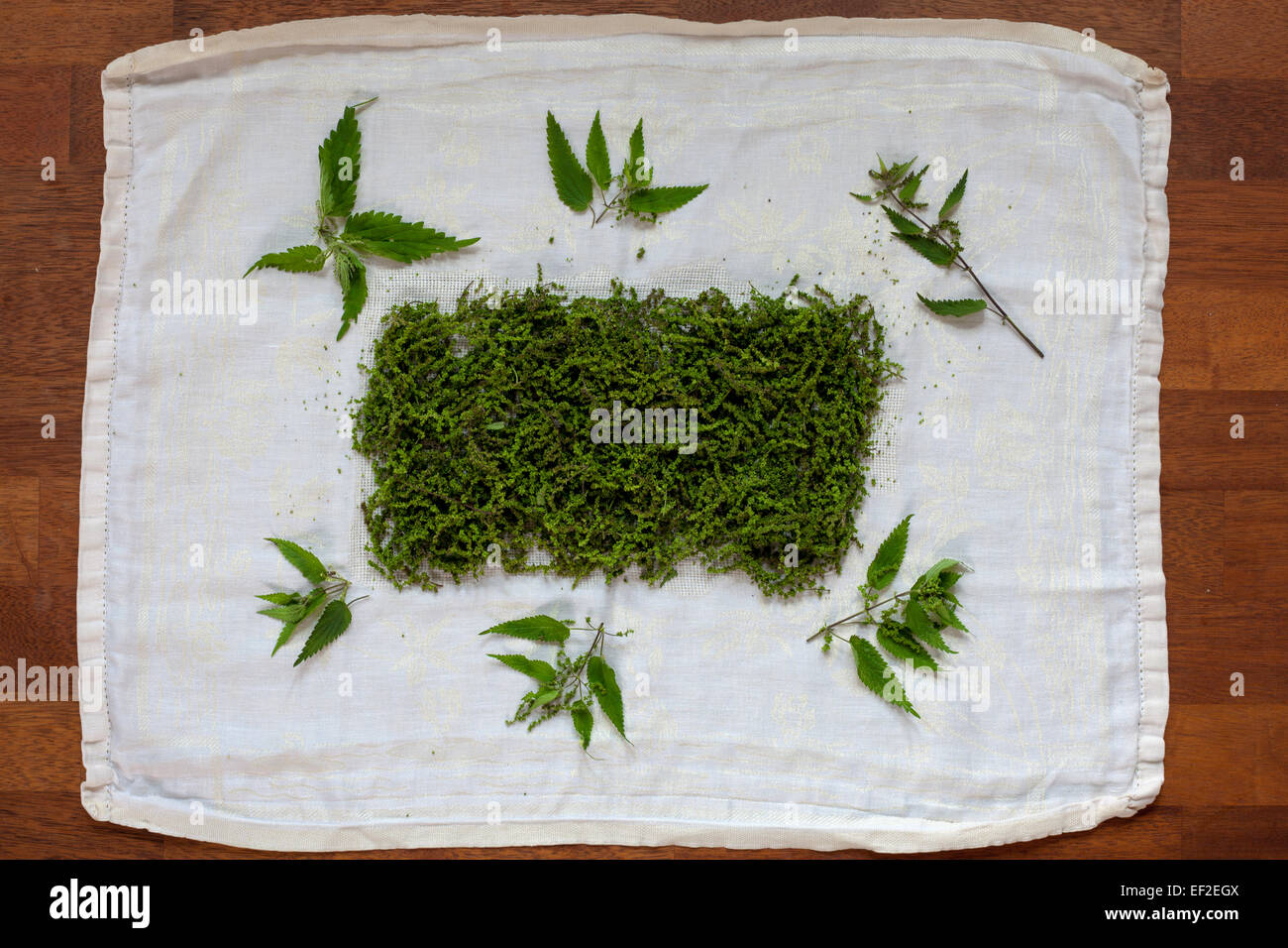 Semi e foglie di ortica stining prima giá pronti per il consumo Foto Stock