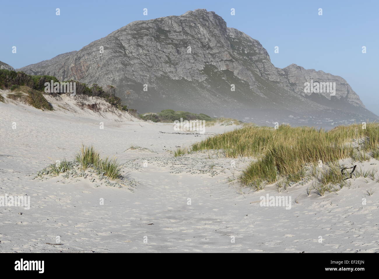 Dune di sabbia sulla spiaggia principale, Betty's Bay Foto Stock