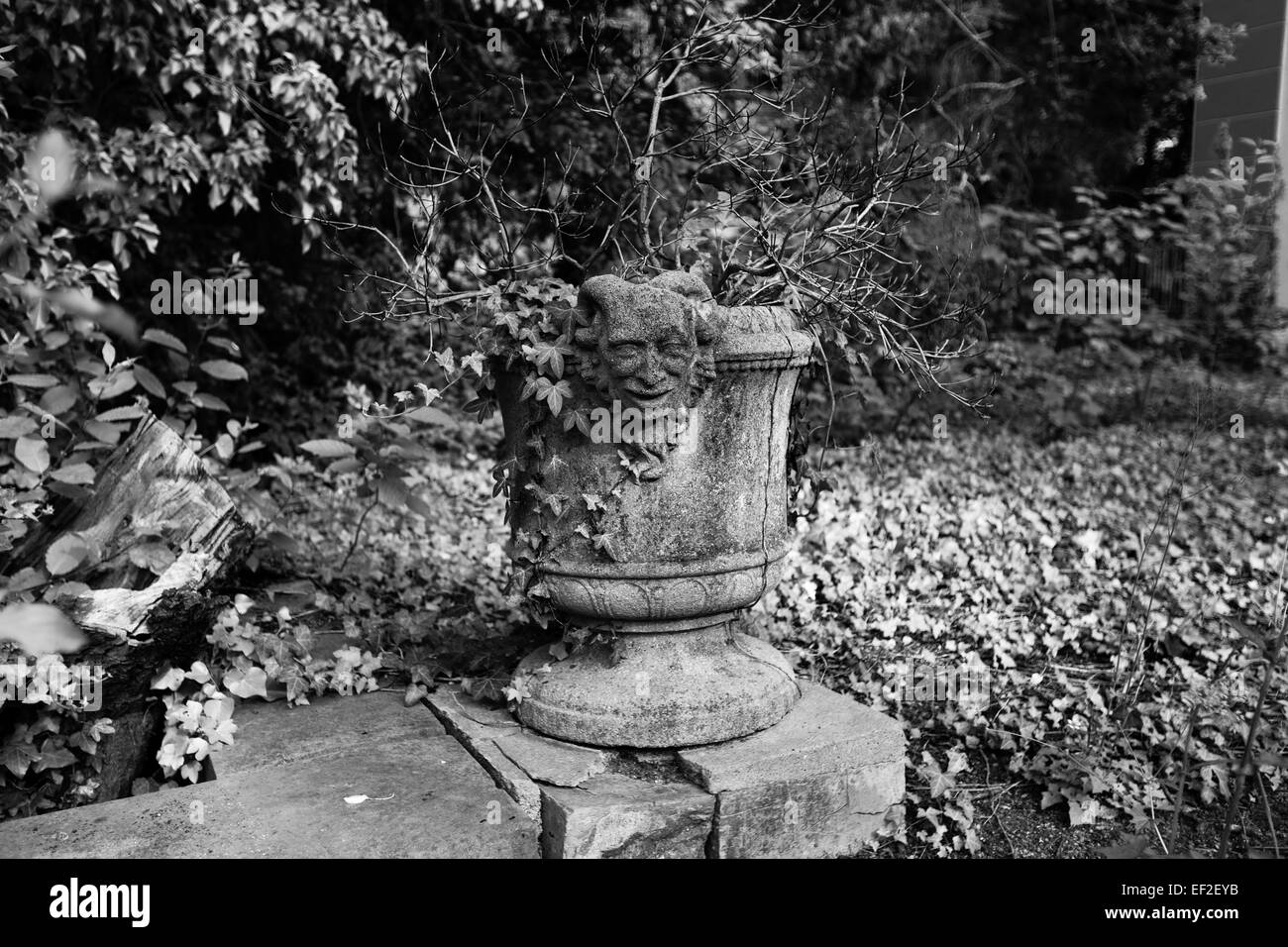 Vecchio vaso di fiori in un giardino Foto Stock