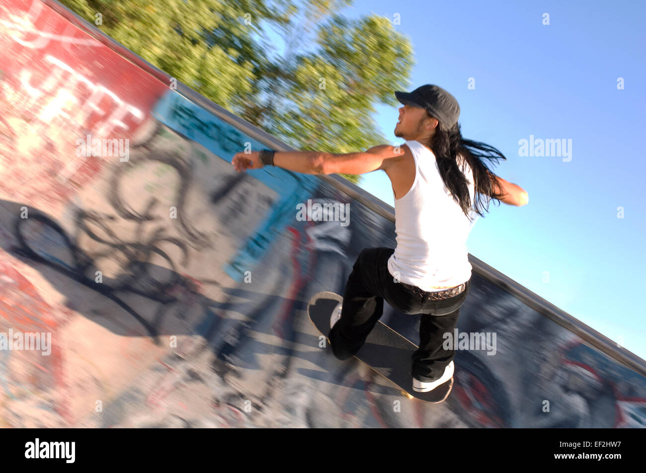 Guidatore di skateboard equitazione il vaso ad una skate park Foto Stock