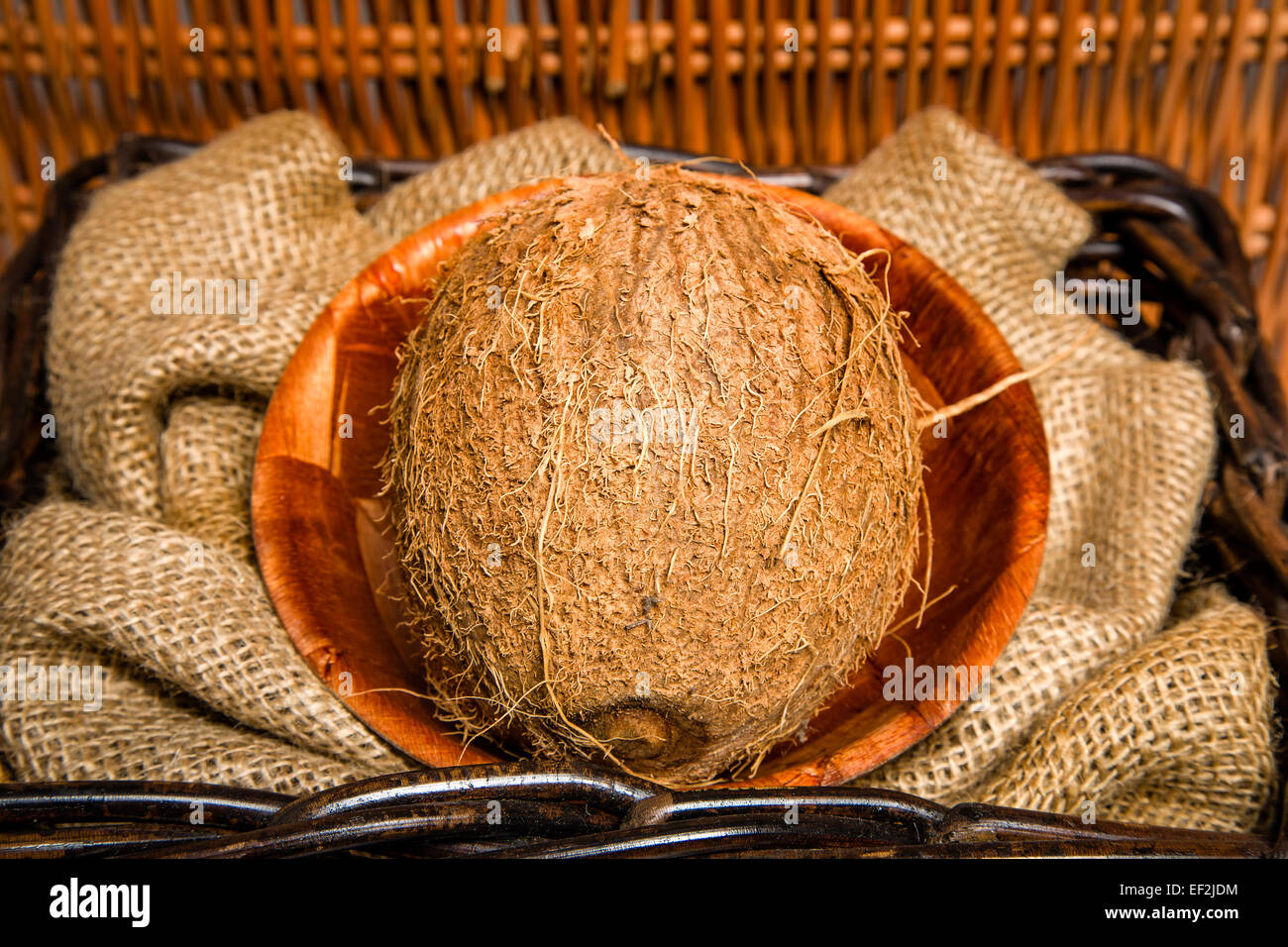 Noce di cocco è una significativa e importante coltura Foto Stock