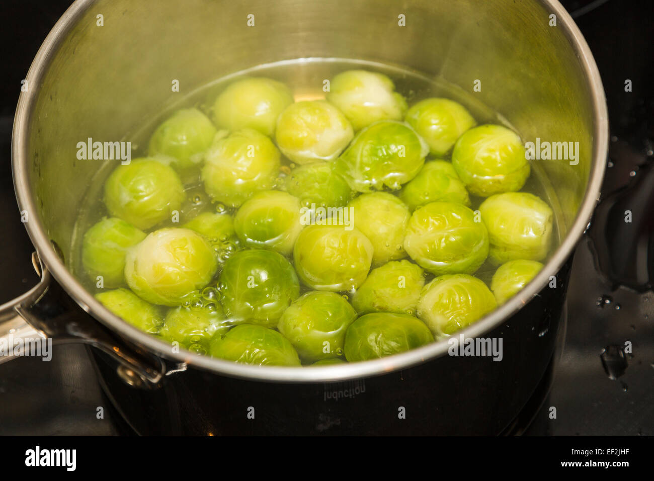 Vista ravvicinata di una pentola piena di verde Il cavoletto di Bruxelles (Brassica oleracea) essendo cotti simmering in ebollizione in acqua in una pentola, England, Regno Unito Foto Stock