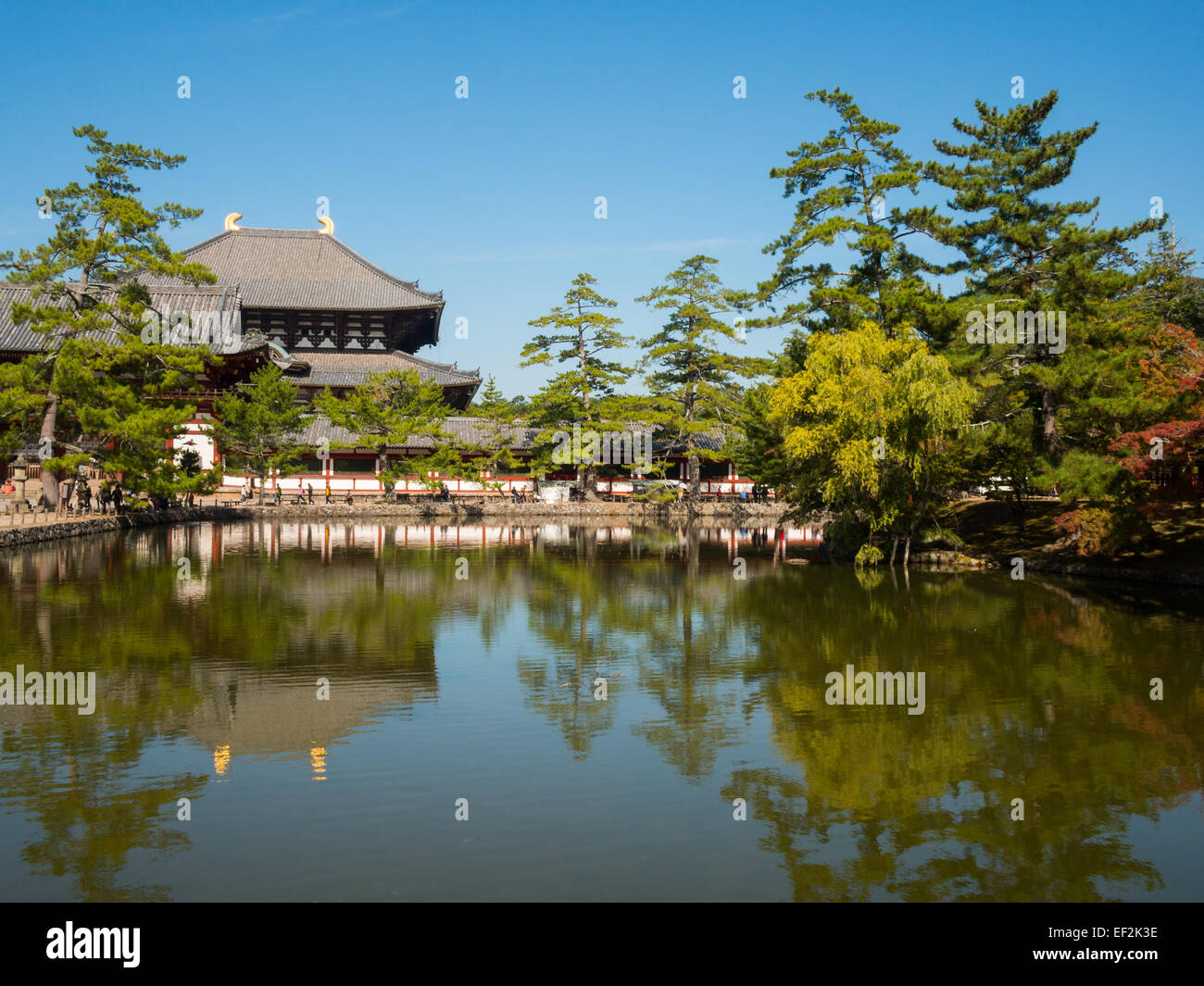Tempio di Todai-ji Daibutsu-den tempio riflesso in uno stagno al Parco di Nara Foto Stock