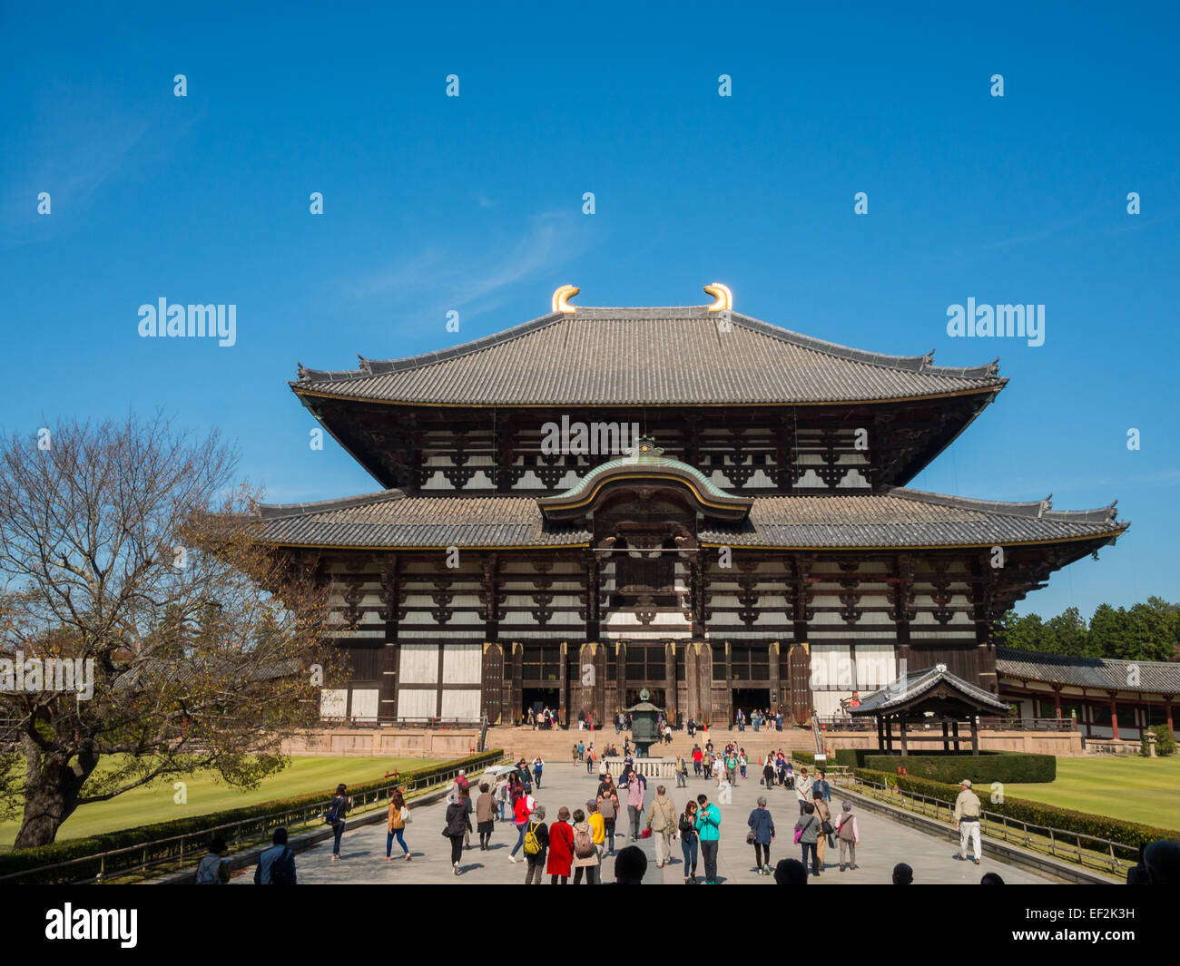 Todai-ji Daibutsu-den tempio buddista Grande Sala del Buddha Foto Stock