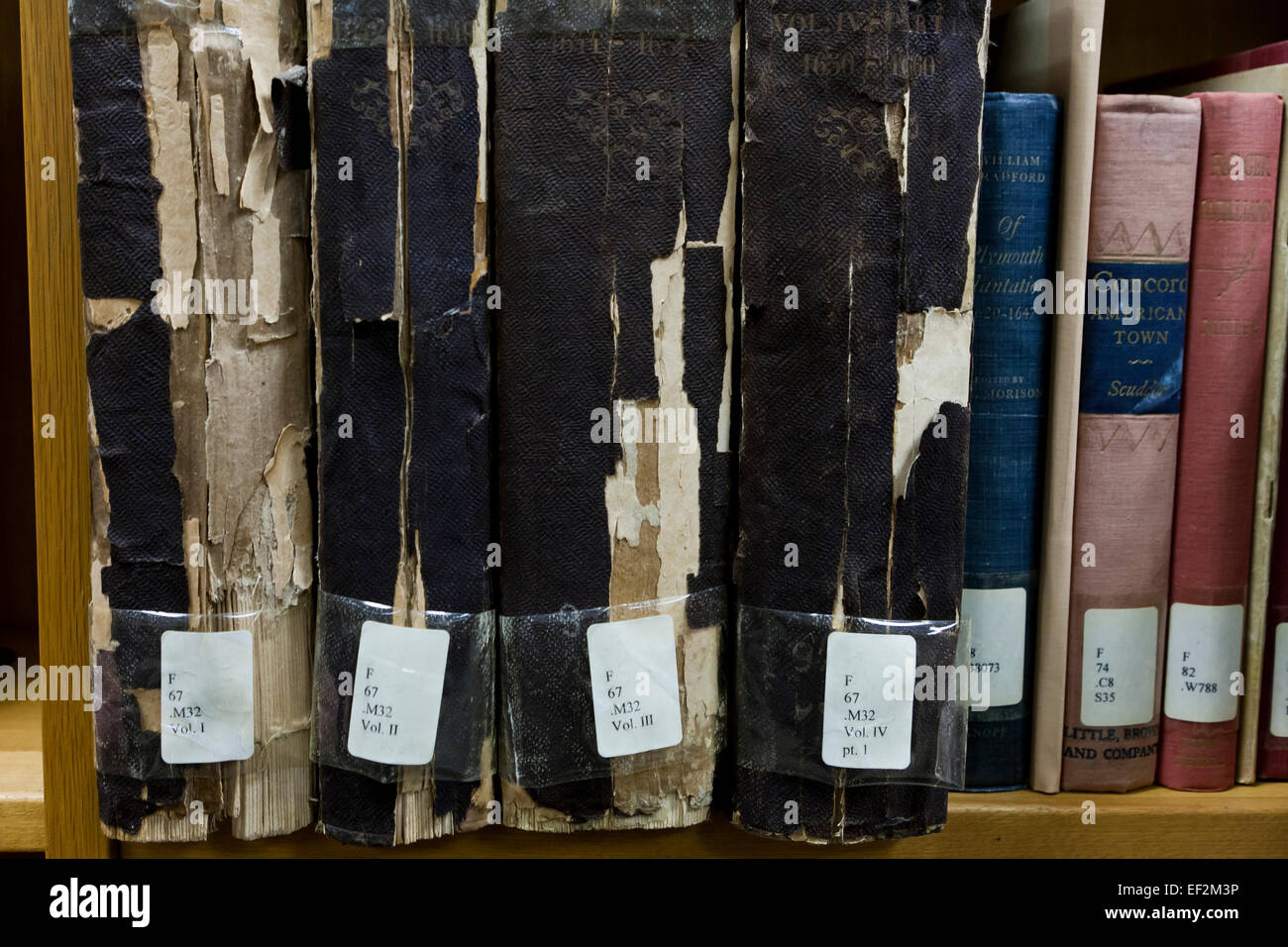 Libri sullo scaffale di una libreria Foto stock - Alamy