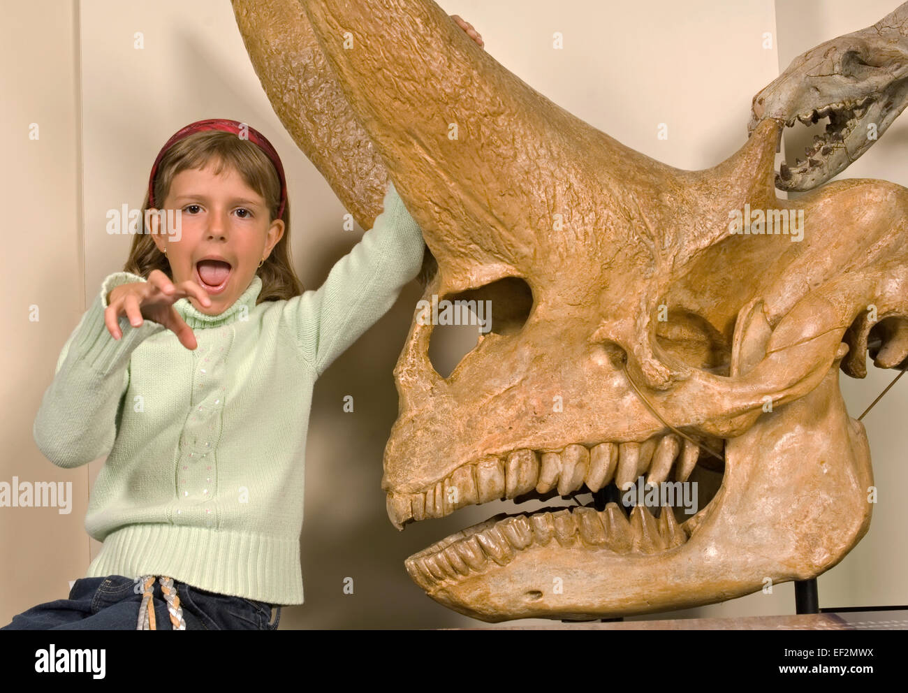Giovane studente in museo da fossili di dinosauro display Foto Stock